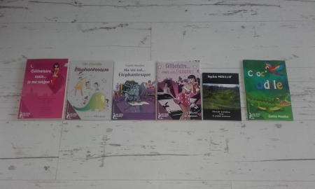 Mes livres en photos