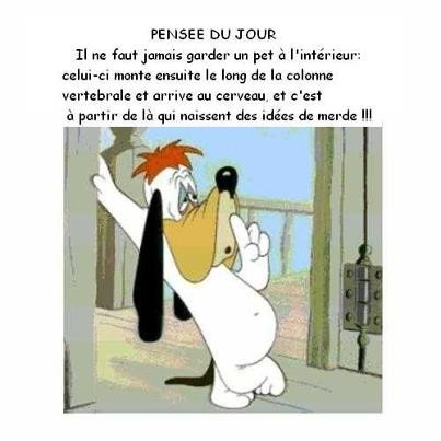 pensées01.jpg